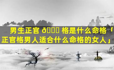 男生正官 🍁 格是什么命格「正官格男人适合什么命格的女人」